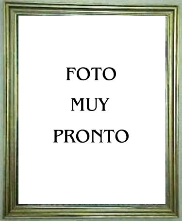 fotomuypronto.jpg